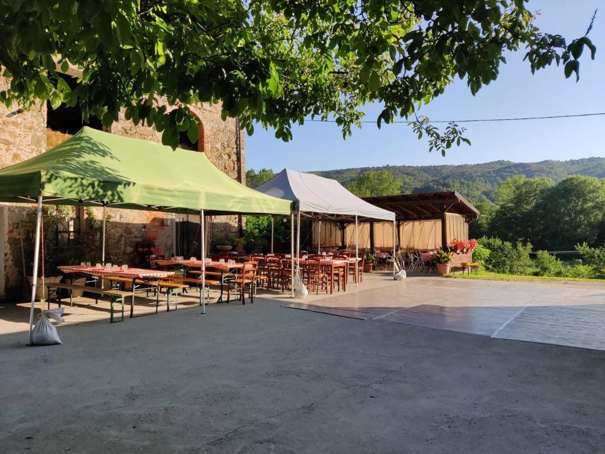 Agriturismo Munarin Caterina Mioglia Bagian luar foto